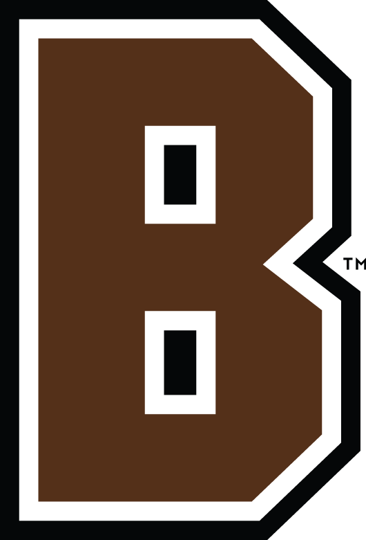 Brown Bears 2003-Pres Alternate Logo v2 iron on transfers for fabric